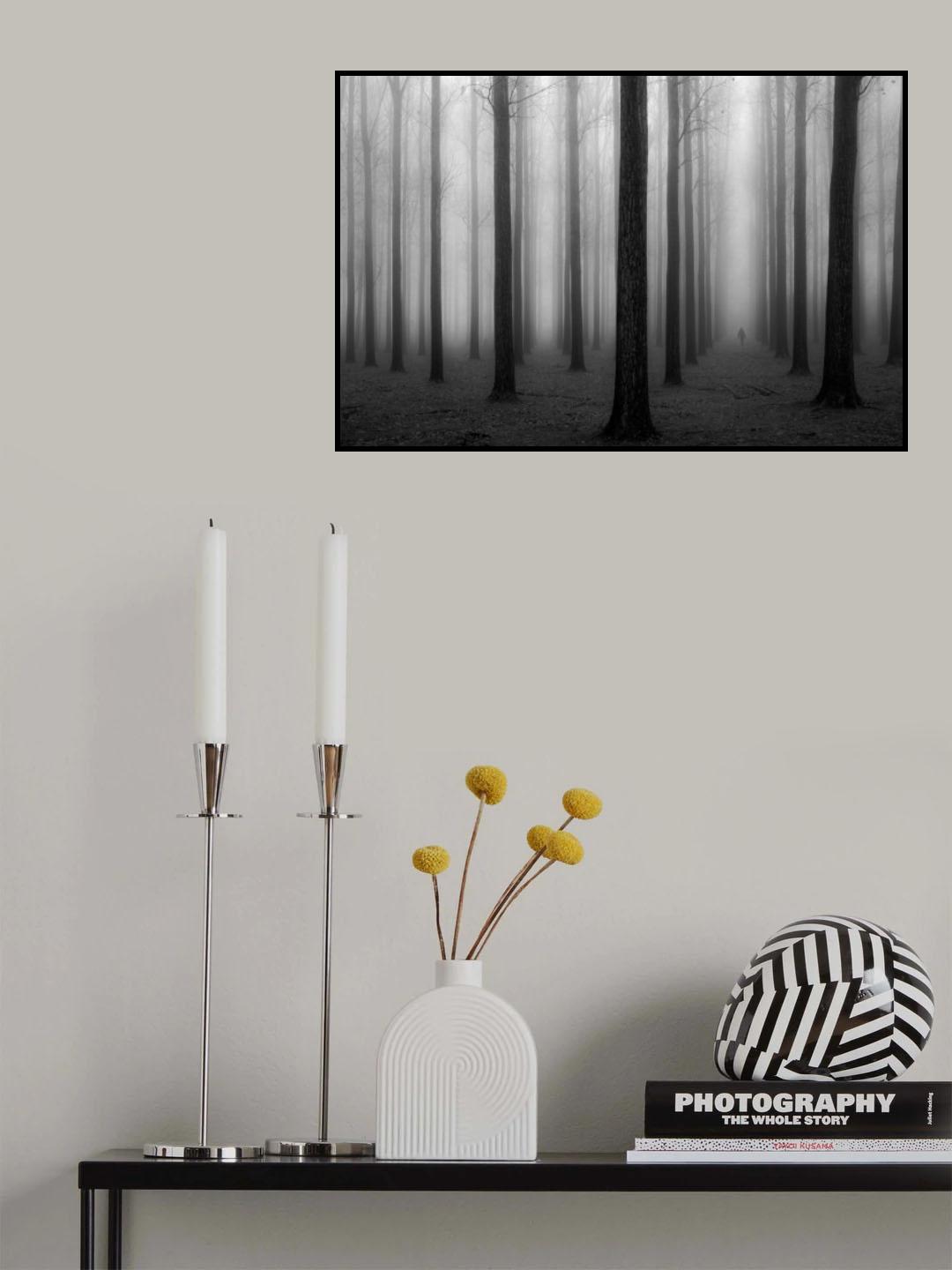 In a Fog Poster och Canvastavla