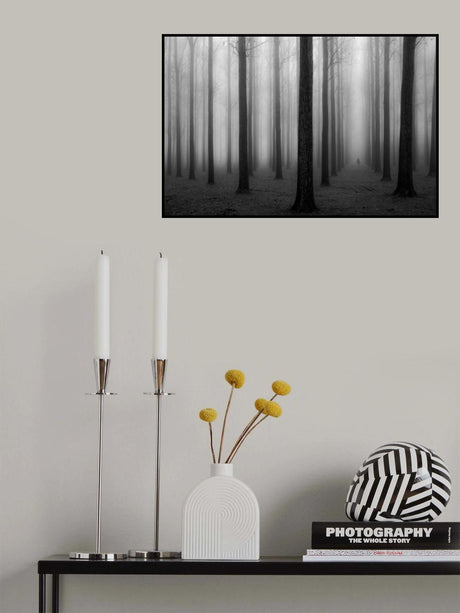 In a Fog Poster och Canvastavla