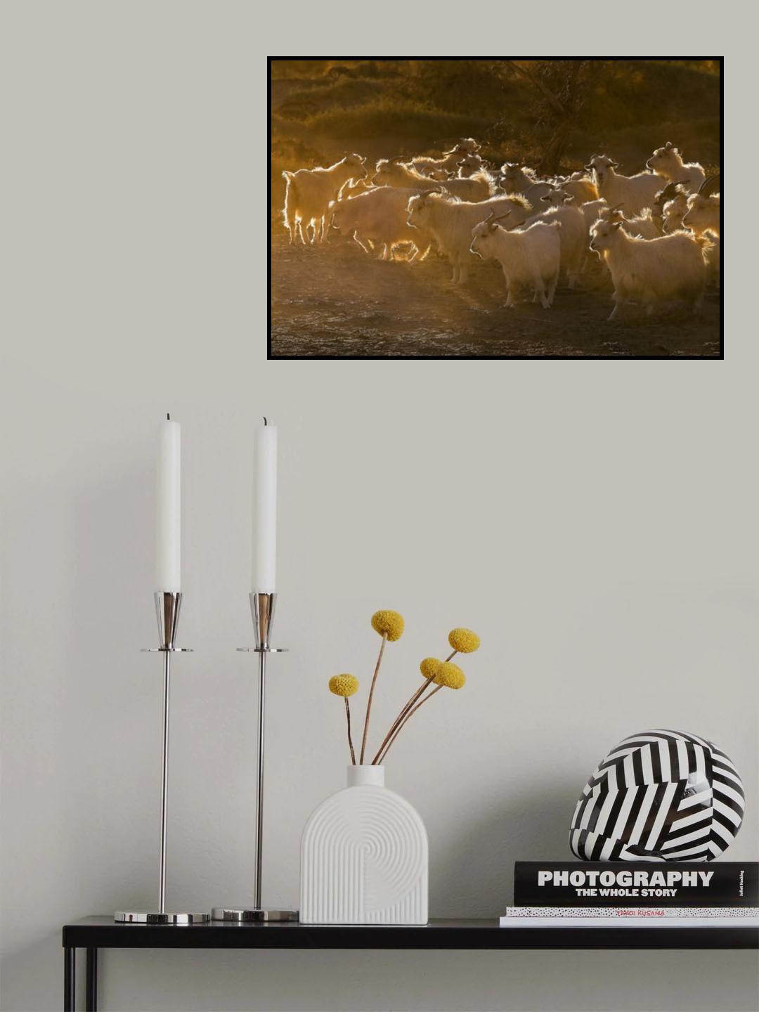 Return Home Poster och Canvastavla