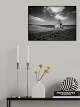 Fast as the wind Poster och Canvastavla