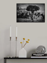 feed Poster och Canvastavla