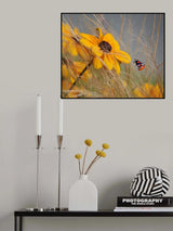 colors of summer Poster och Canvastavla