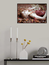 Autumn color Poster och Canvastavla