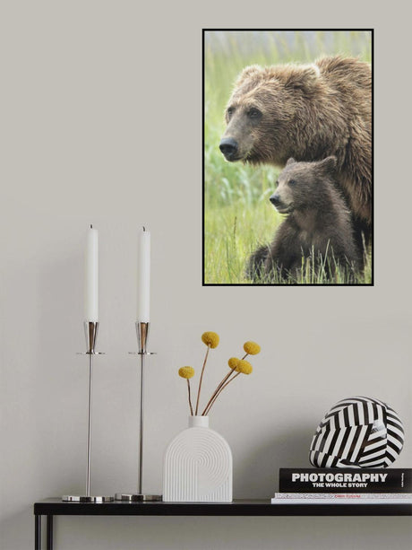 Momma Bear and Cub Portrait Poster och Canvastavla