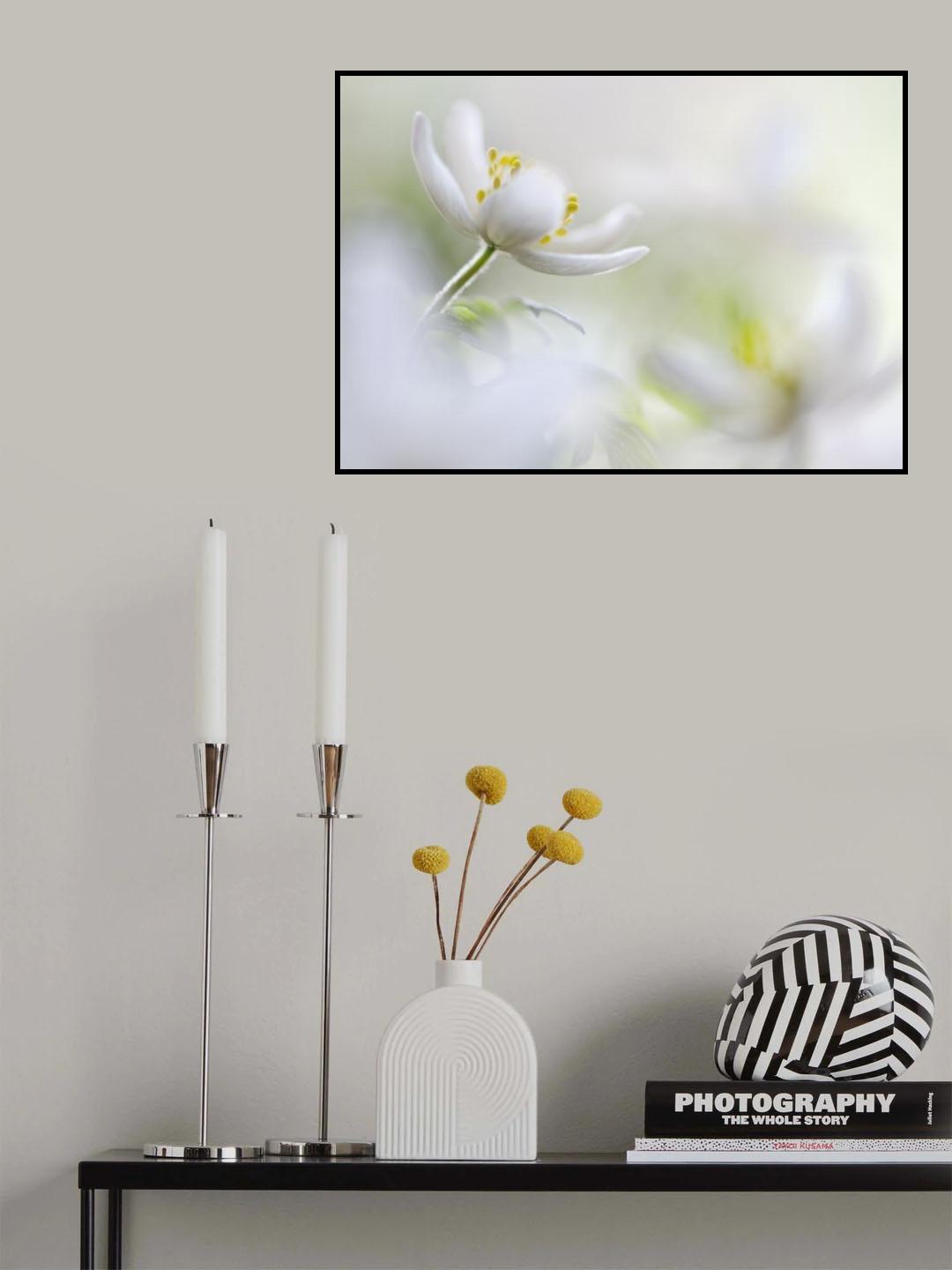 White Spring Poster och Canvastavla