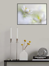 White Spring Poster och Canvastavla