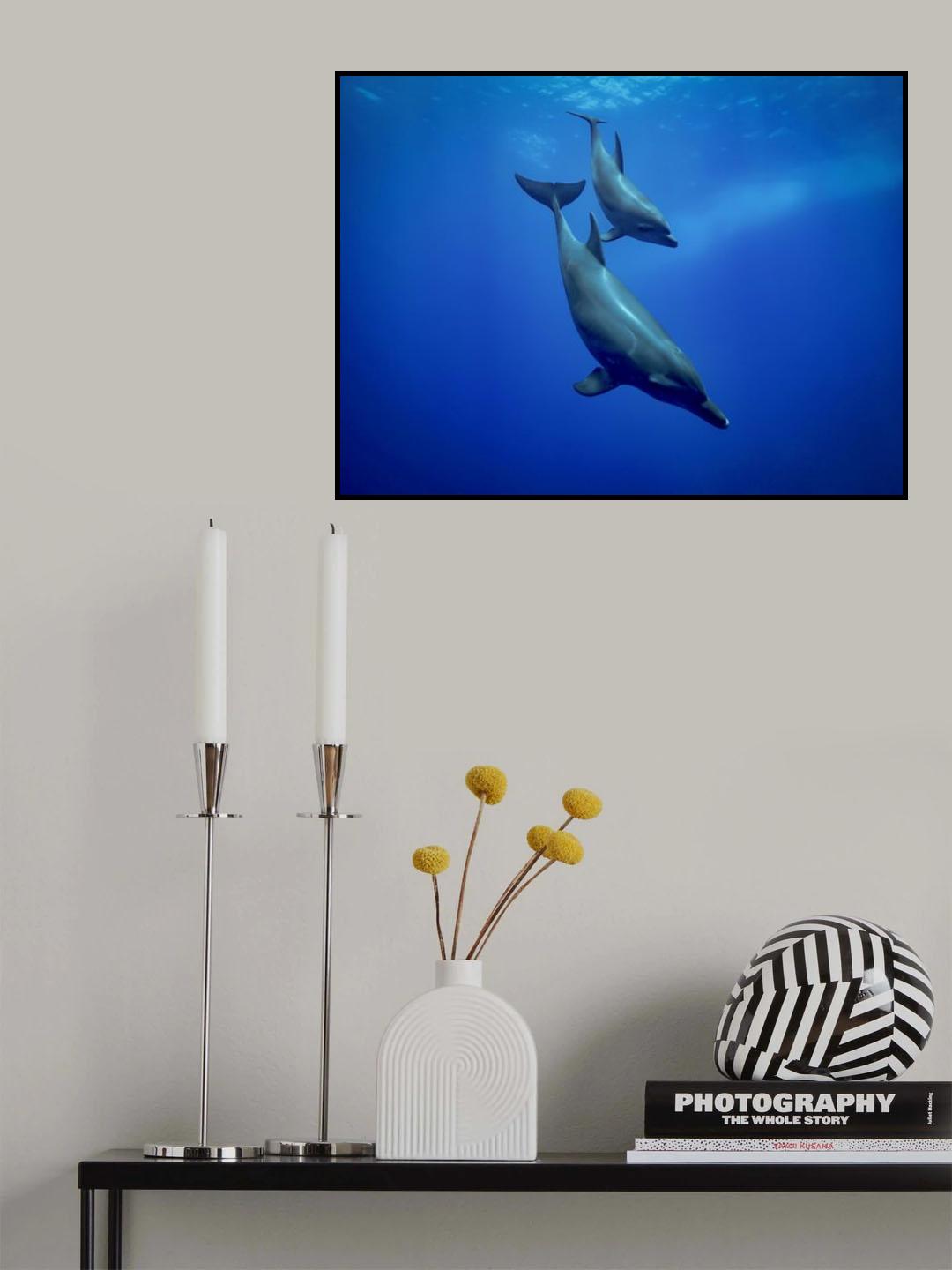 To the deep Poster och Canvastavla