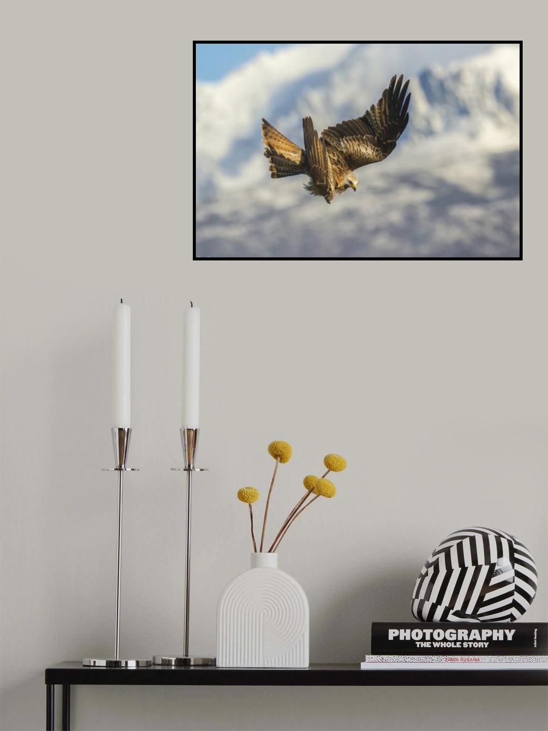 Kite manoeuvre Poster och Canvastavla