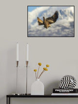 Kite manoeuvre Poster och Canvastavla