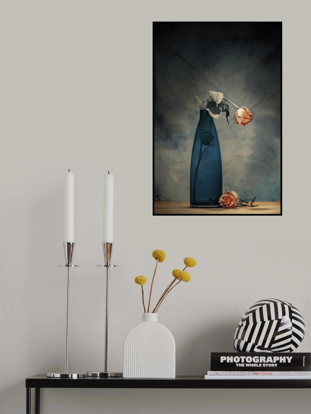 Decay - Dying Rose Poster och Canvastavla