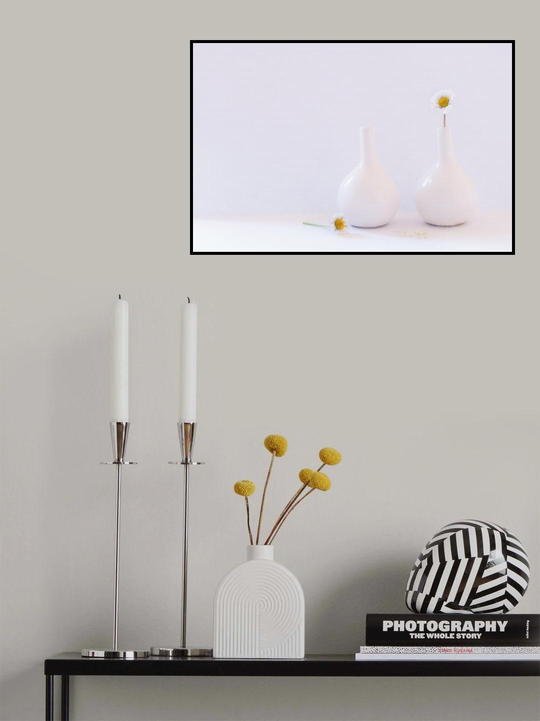 white beauty Poster och Canvastavla