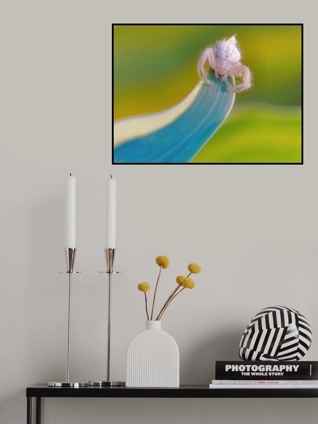 The crab spider... Poster och Canvastavla