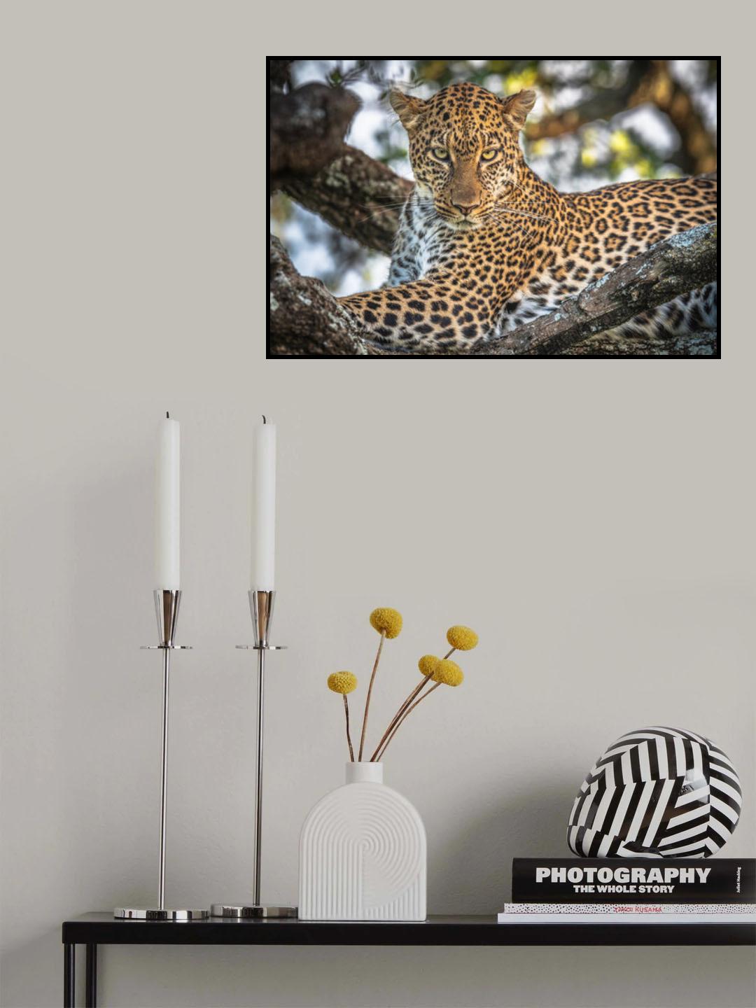 The arboreal king Poster och Canvastavla