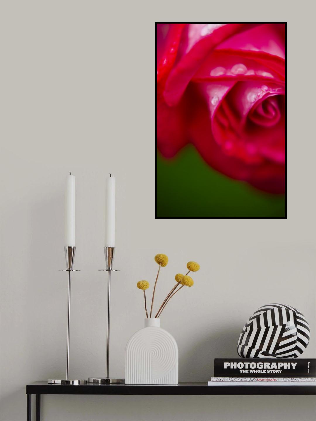 pink rose Poster och Canvastavla