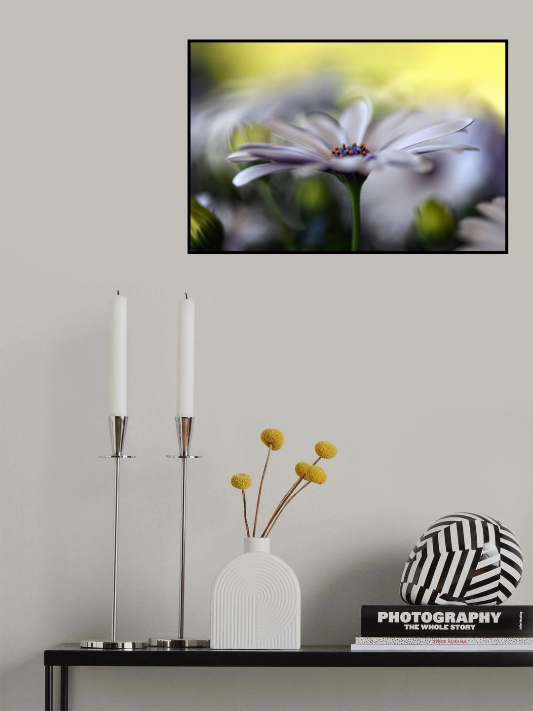 Dream on Poster och Canvastavla
