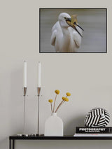 Little egret Poster och Canvastavla