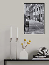 Lady at the door Poster och Canvastavla