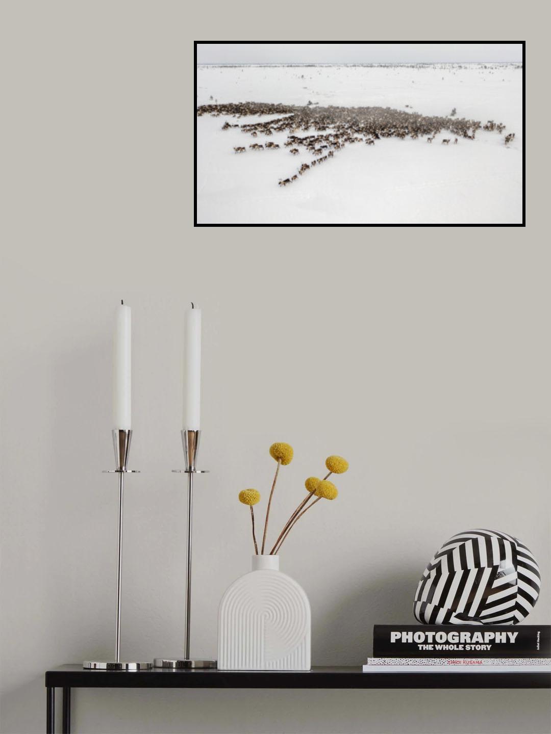 The herd on the move III Poster och Canvastavla