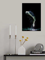 underwater artistic portrait shooting Poster och Canvastavla