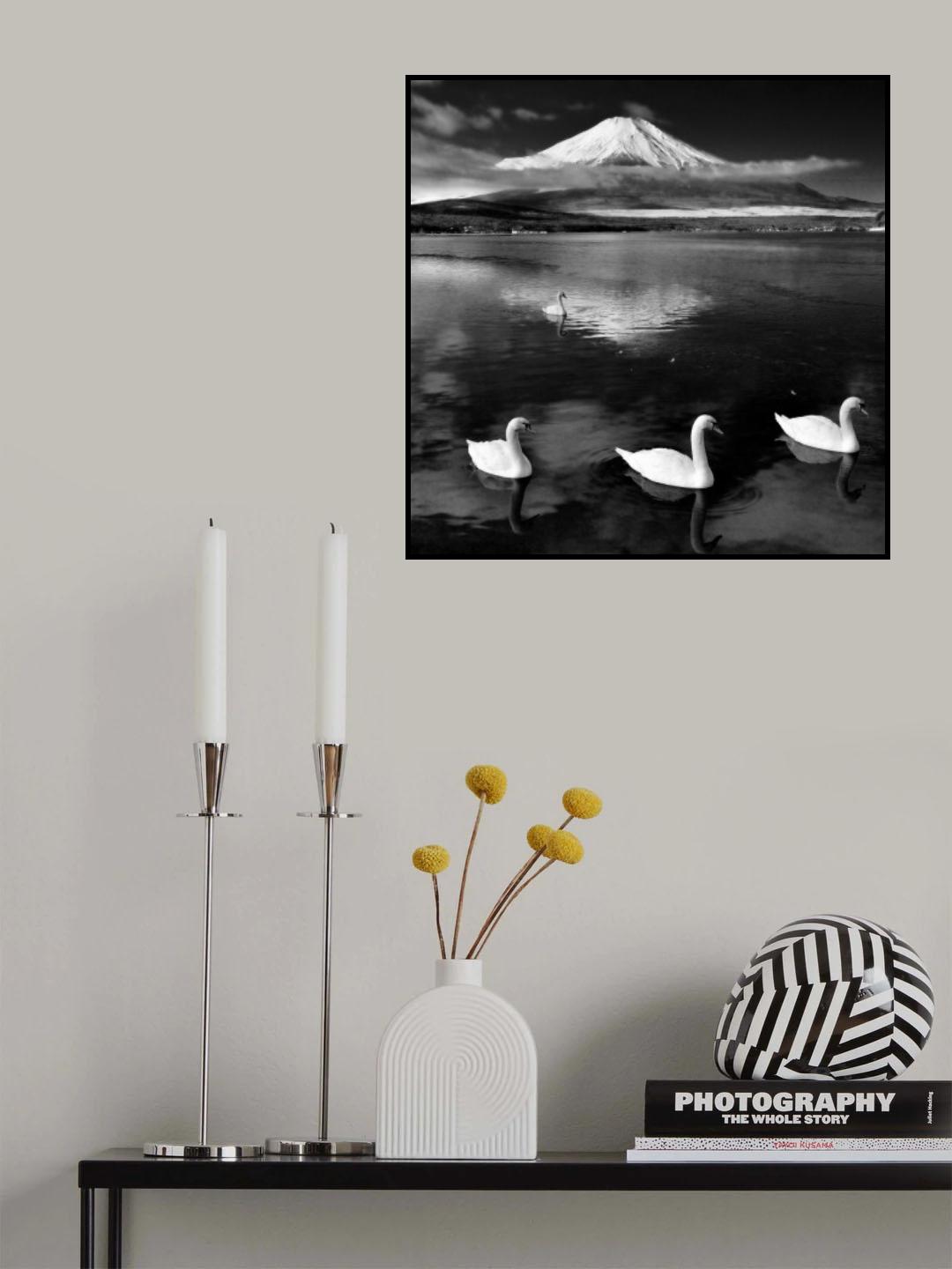 Swans With Mt.Fuji Poster och Canvastavla
