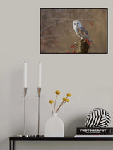 Barn Owl Poster och Canvastavla