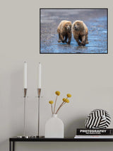 Catch me if you dare Poster och Canvastavla
