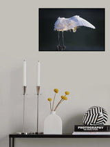 Combing Poster och Canvastavla