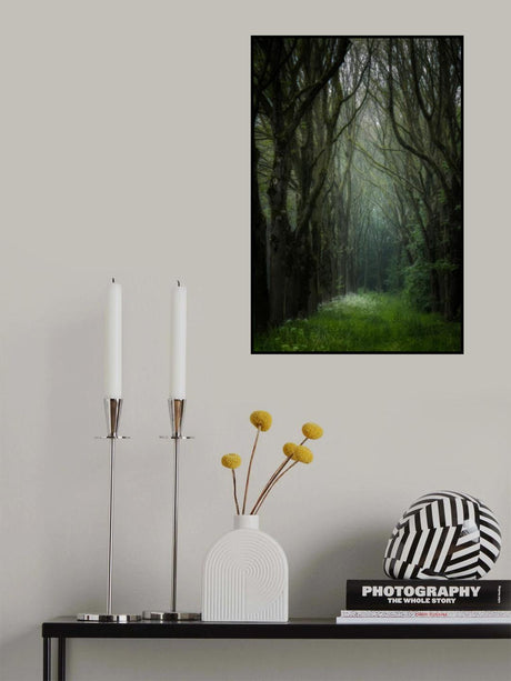 a dark cathedral Poster och Canvastavla