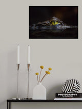 Hypnotic Poster och Canvastavla