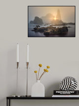 The dryer Poster och Canvastavla