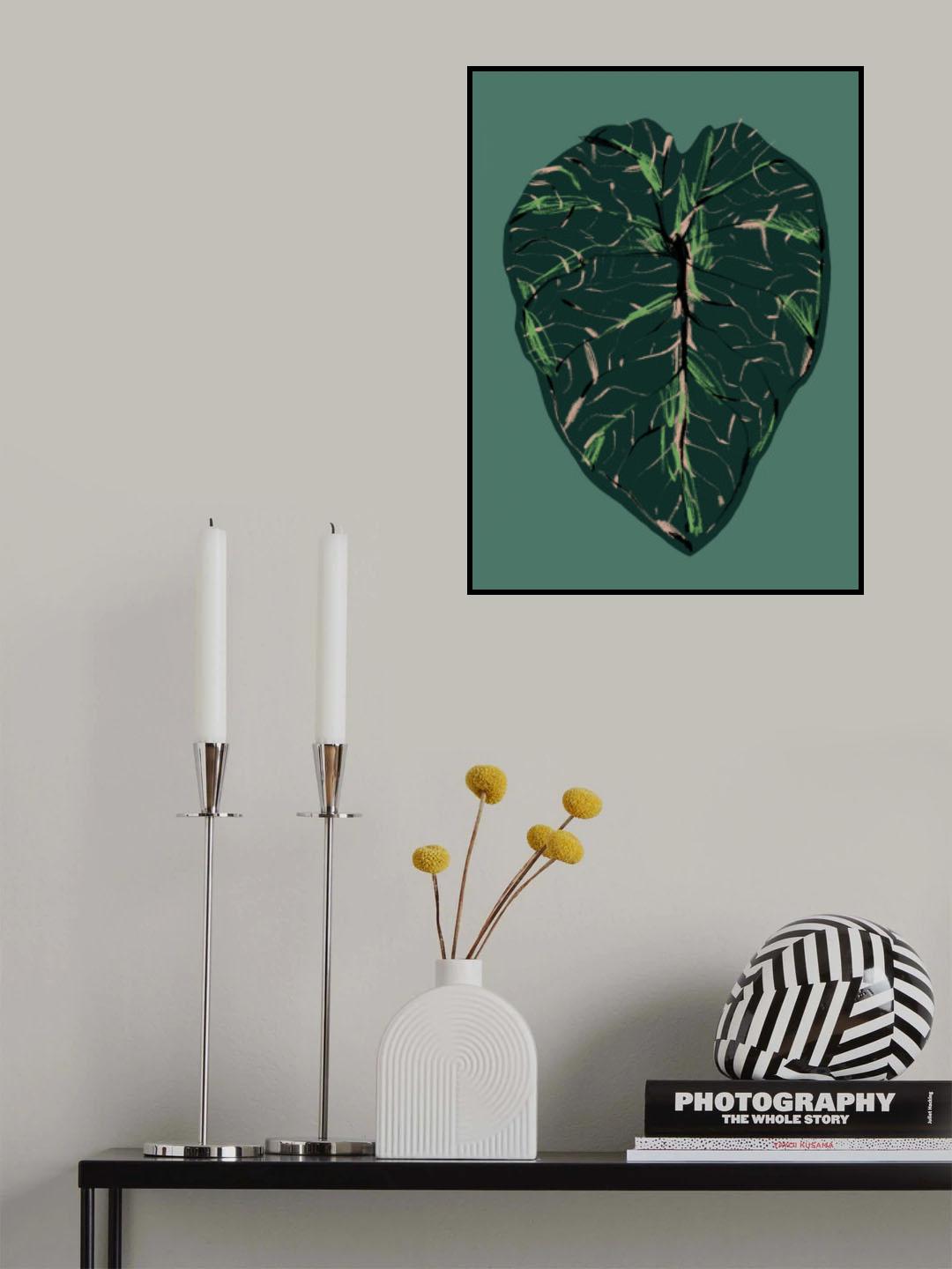 Alocasia Melo Dark Poster och Canvastavla