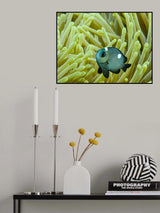 Baby clown Poster och Canvastavla