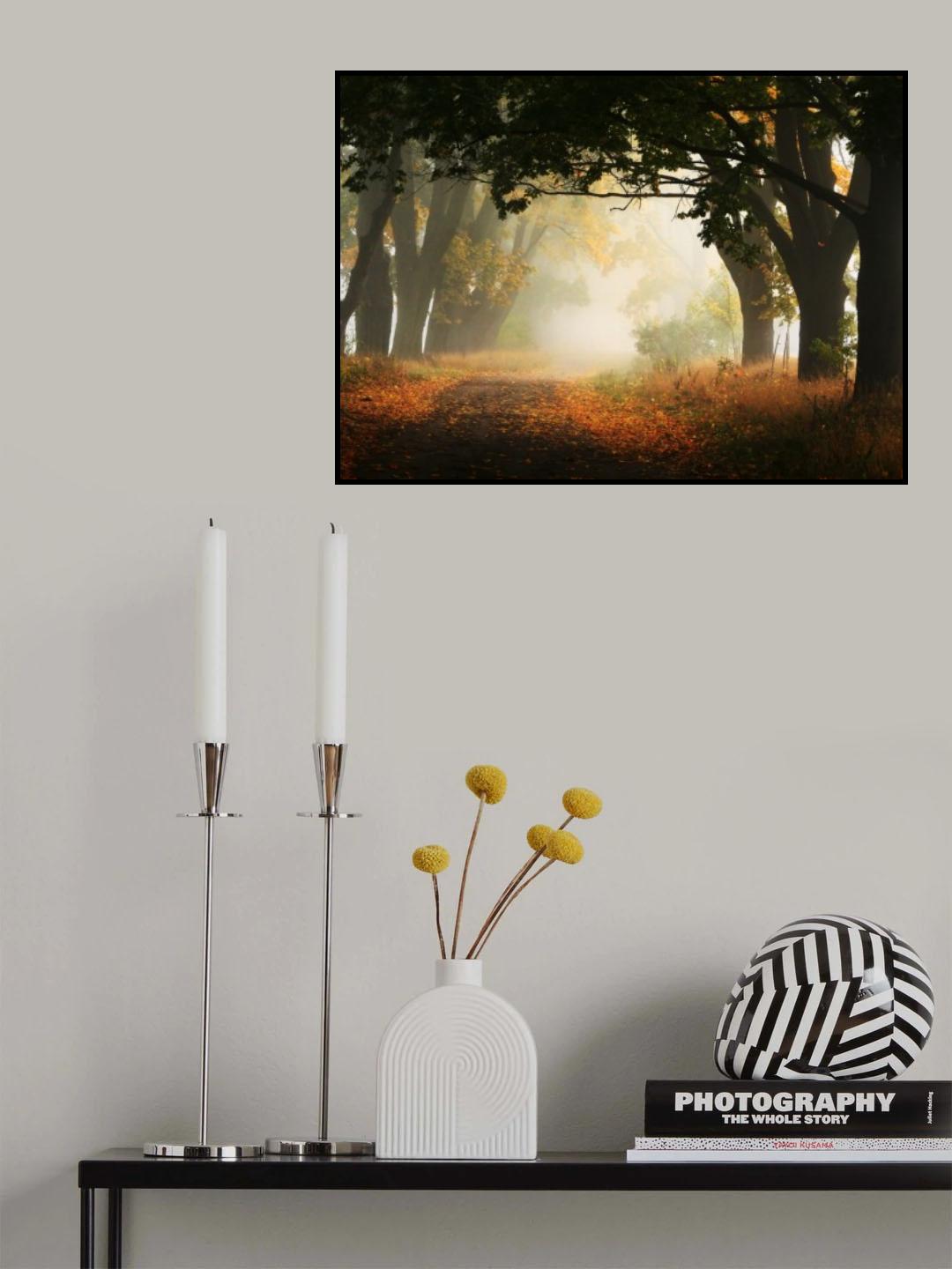 Autumn in Poland Poster och Canvastavla