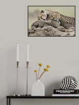 Tenderness Poster och Canvastavla