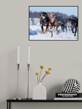 The athletes Poster och Canvastavla