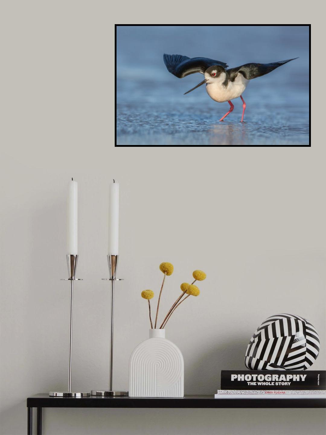 Anticipation Poster och Canvastavla