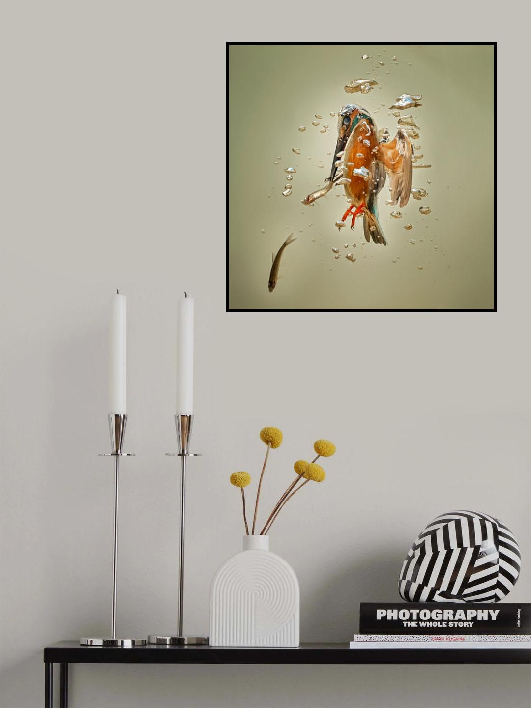 The free Diver Poster och Canvastavla