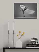 Butterfly Poster och Canvastavla