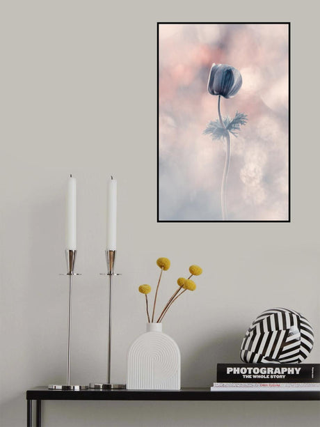 Soliste Poster och Canvastavla