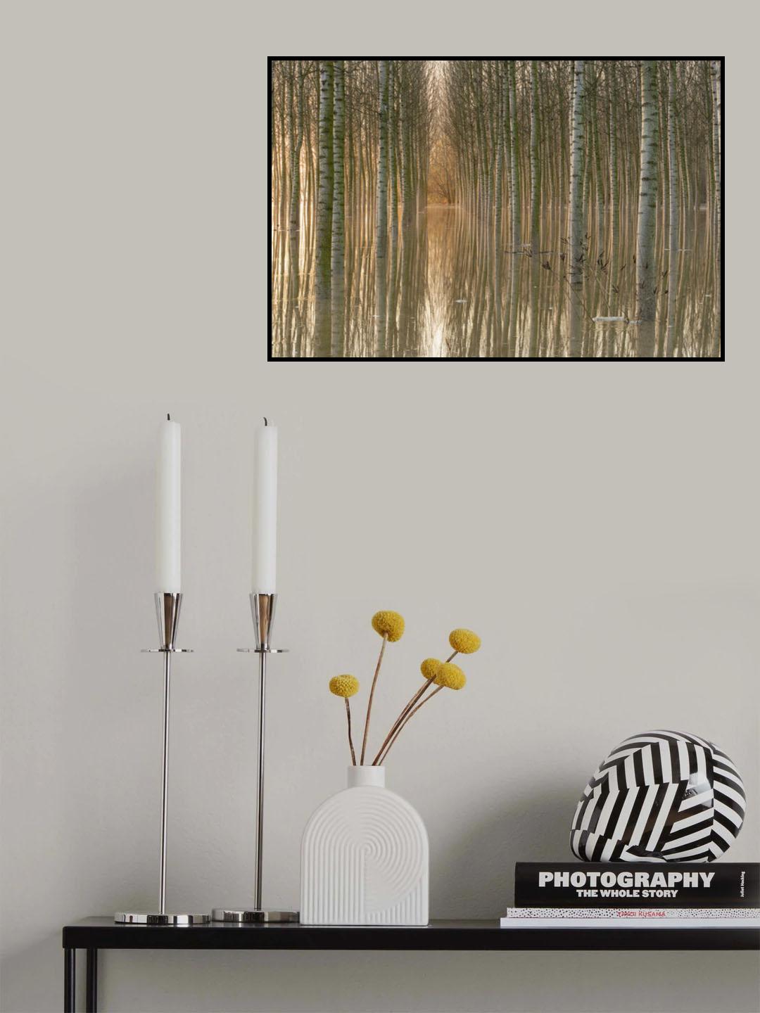 November 2016 Poster och Canvastavla