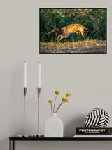 Poster och Canvastavla