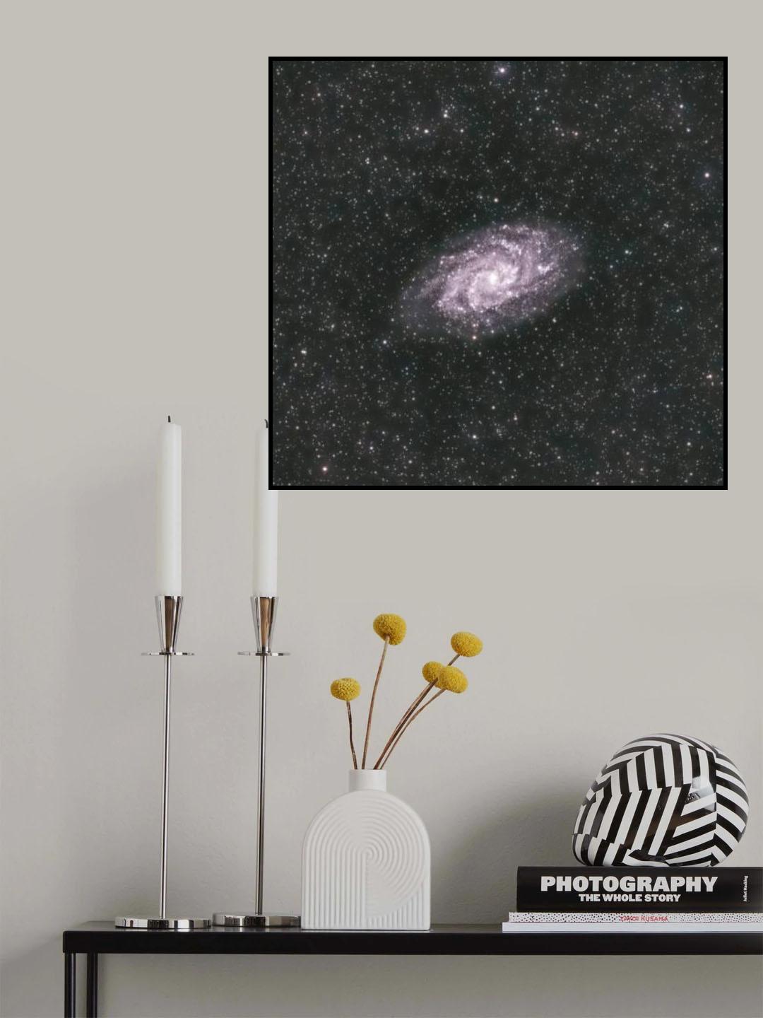 The Triangulum Galaxy Poster och Canvastavla