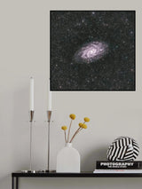 The Triangulum Galaxy Poster och Canvastavla