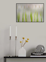 Harmony Poster och Canvastavla