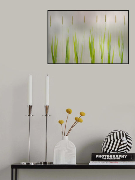 Harmony Poster och Canvastavla