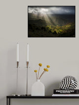 Magic Rays Poster och Canvastavla