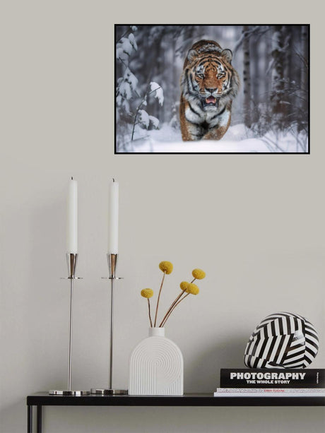 SnowTiger Poster och Canvastavla