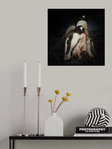 Huddled family Poster och Canvastavla