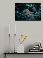 looking Poster och Canvastavla