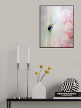 When Morning Comes Poster och Canvastavla